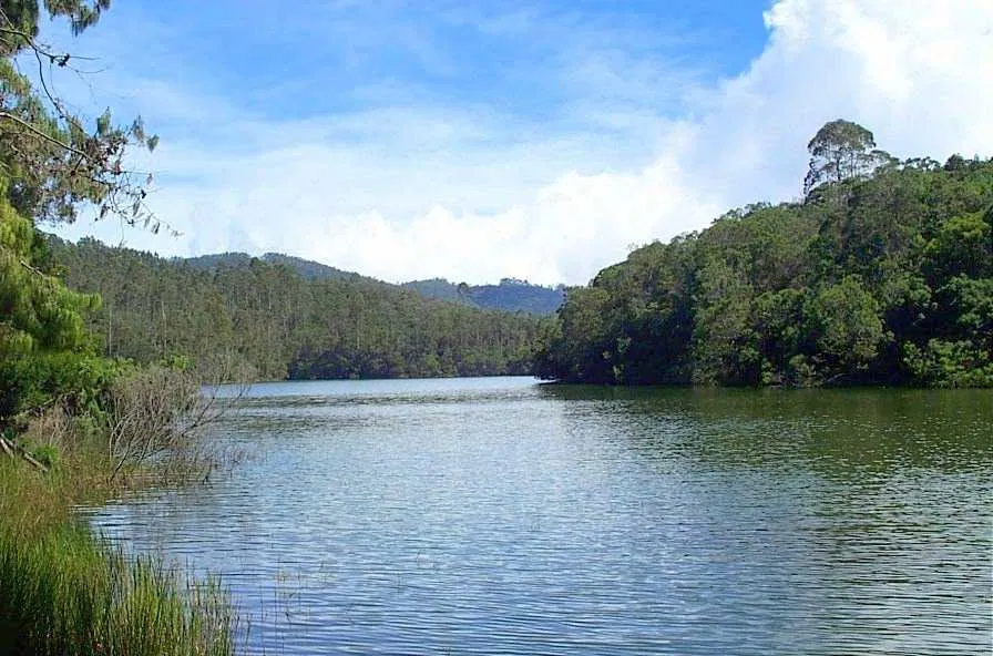 Berijam Lake View Kodaikanal